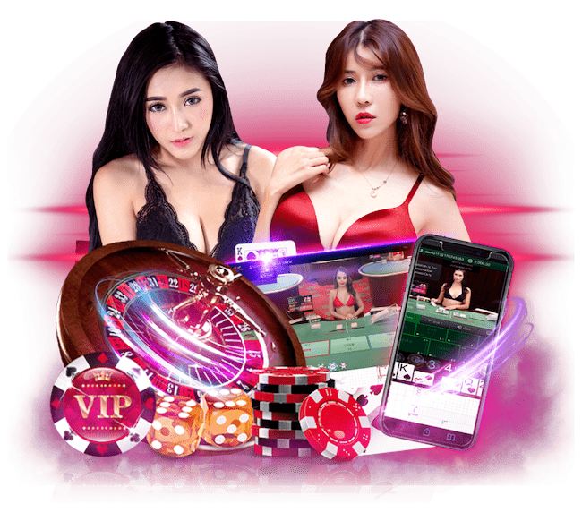 scbet88.win Casino รูปภาพแบนเนอร์